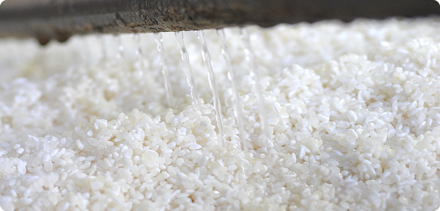 おせんべいの主原料であるお米